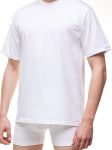 T-shirt Meski Model Authentic 202 White